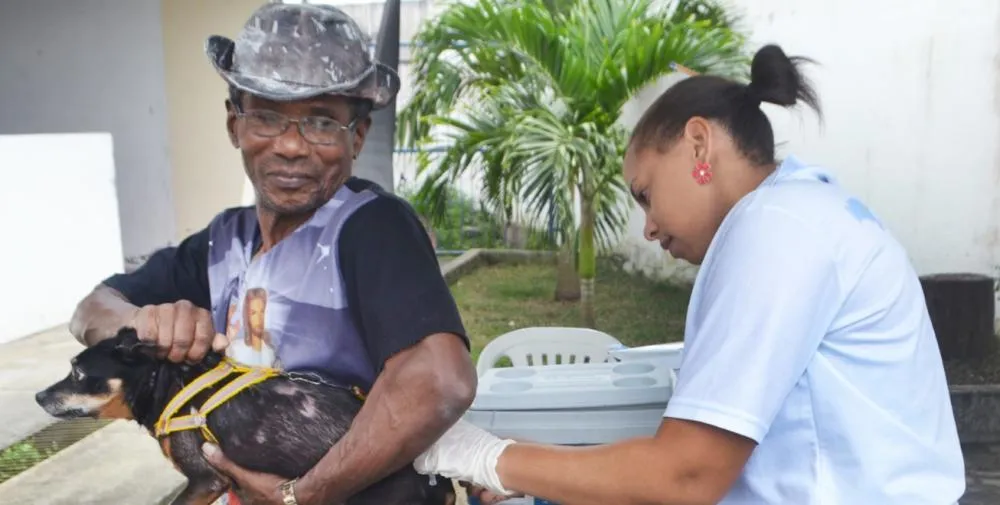 Confira o cronograma da vacinação contra raiva desta semana
