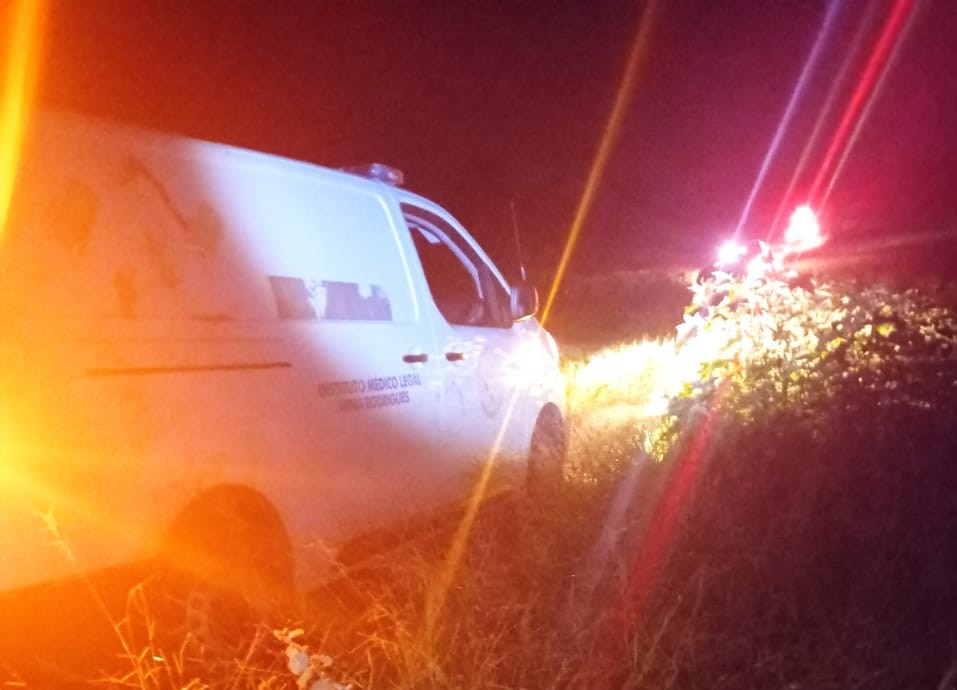 Corpo encontrado em estado de decomposição em matagal.