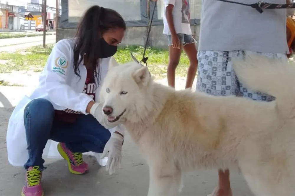 Prefeitura inicia a Campanha de Vacinação Antirrábica nesta quarta-feira