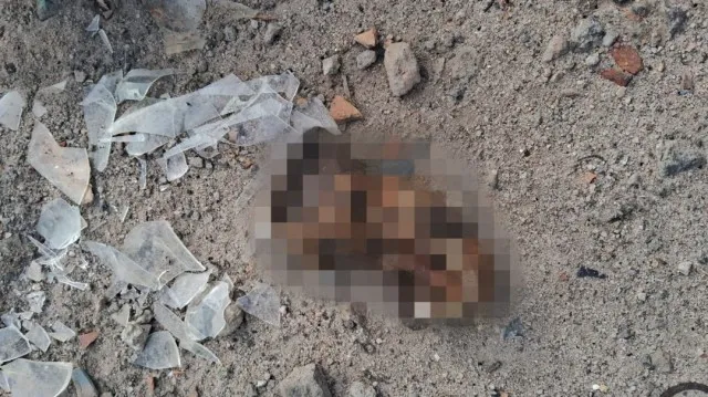 Feto de aproximadamente 5 meses é encontrado em terreno no bairro Gabriela 