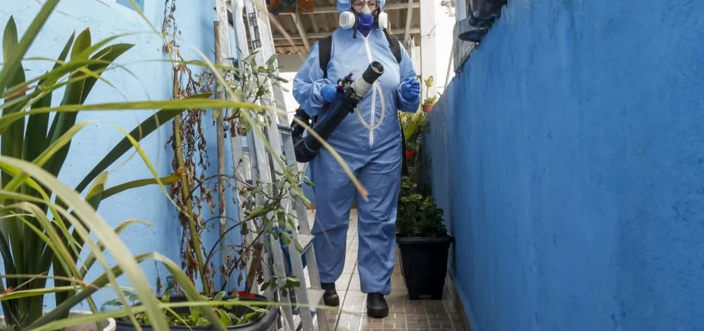 Em 6 meses, Brasil registra 6,1 milhões de casos e 4,2 mil mortes por dengue