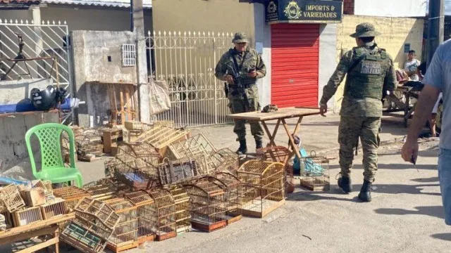 Polícia prende 15 pessoas e apreende 332 aves em Feira de Santana