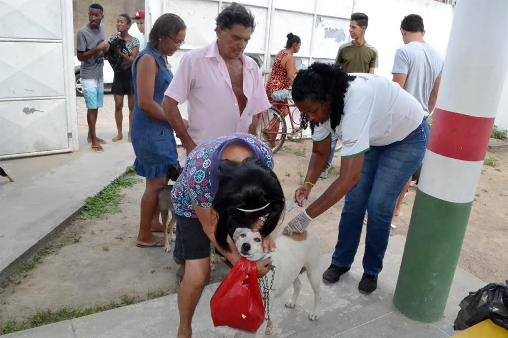 Confira os bairros com aplicação da vacina antirrábica neste sábado