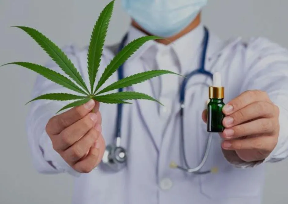 Aumenta em 300% procura por tratamentos com Canabis Medicinal para dores e bruxismo 