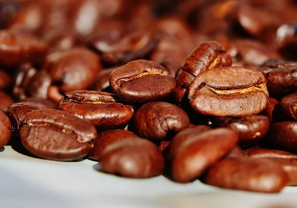 Agricultura manda recolher 16 marcas de cafés impróprios para consumo