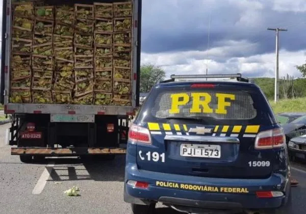 Carga irregular de cigarros avaliada em R$ 2 milhões é apreendida