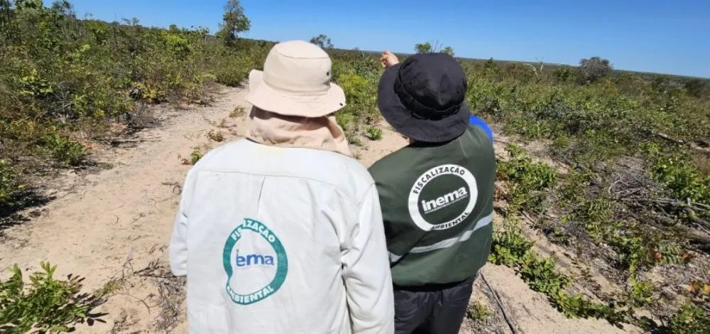 Bahia registra queda de mais de 50% em desmatamento no cerrado 