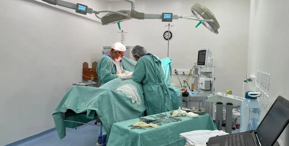 Após 20 anos de espera, mulher realiza o sonho da redução de mamas 