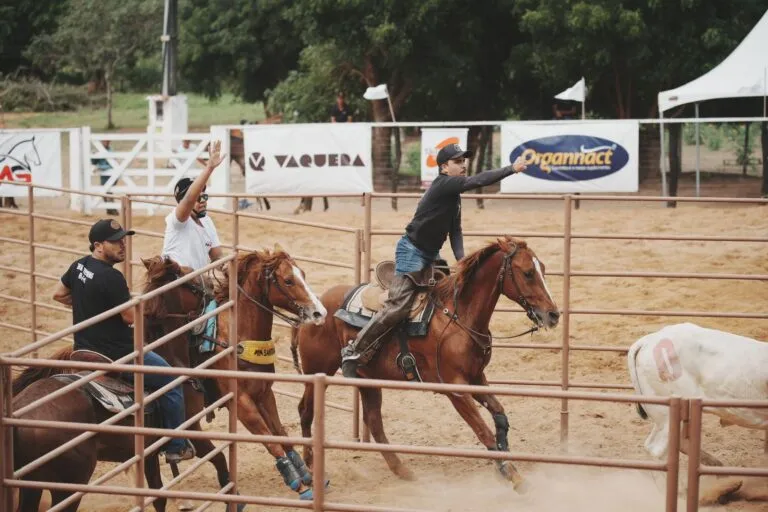 6ª Etapa do Campeonato Baiano de Team Penning será realizada durante a Expofeira no Parque de Exposições de Feira de Santana