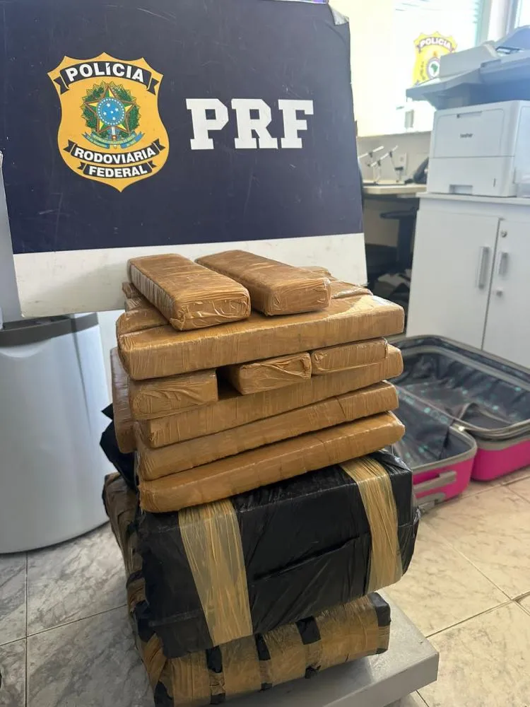 PRF apreende 60 kg de maconha durante fiscalização na BR-116 Sul em Feira de Santana